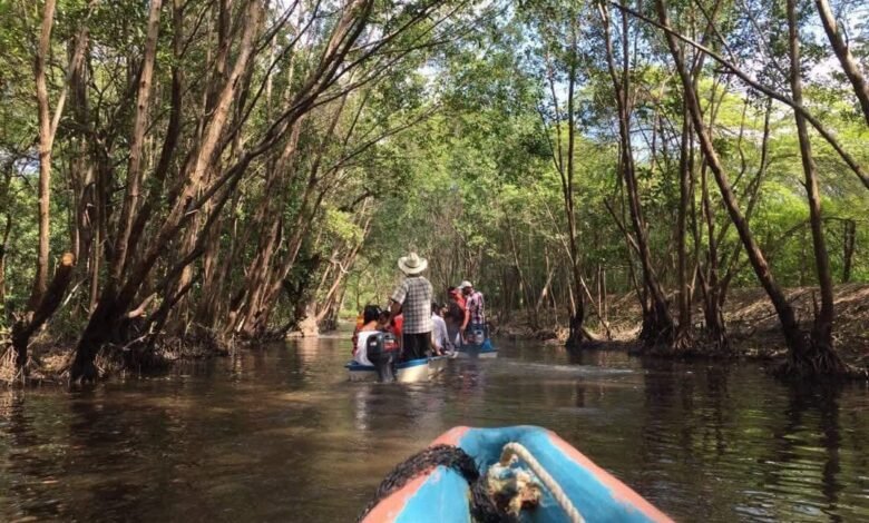 México Celebra el Día Mundial de los Humedales: Un Tesoro de Biodiversidad y Regulación Hídrica