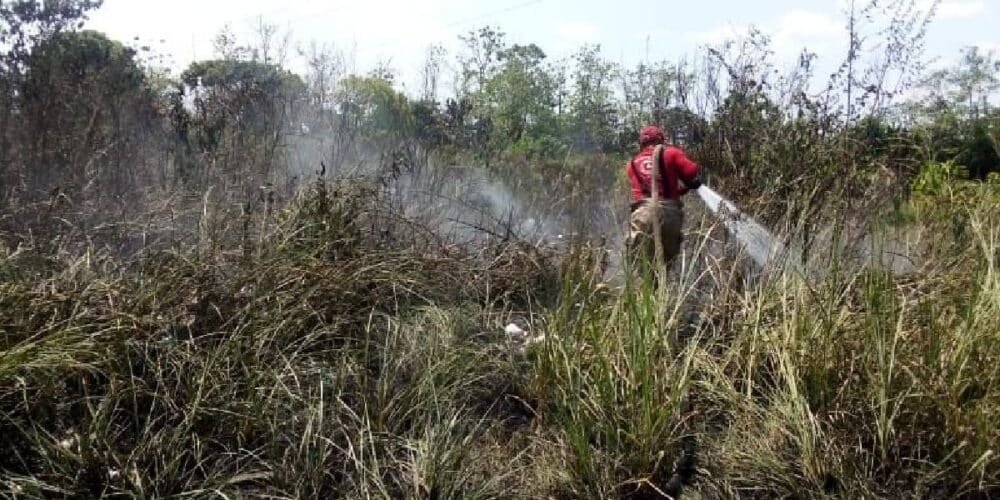 Las autoridades instan a la población a mantener precauciones y a reportar cualquier conato de incendio a los servicios de emergencia.