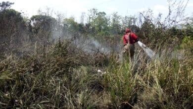 Las autoridades instan a la población a mantener precauciones y a reportar cualquier conato de incendio a los servicios de emergencia.