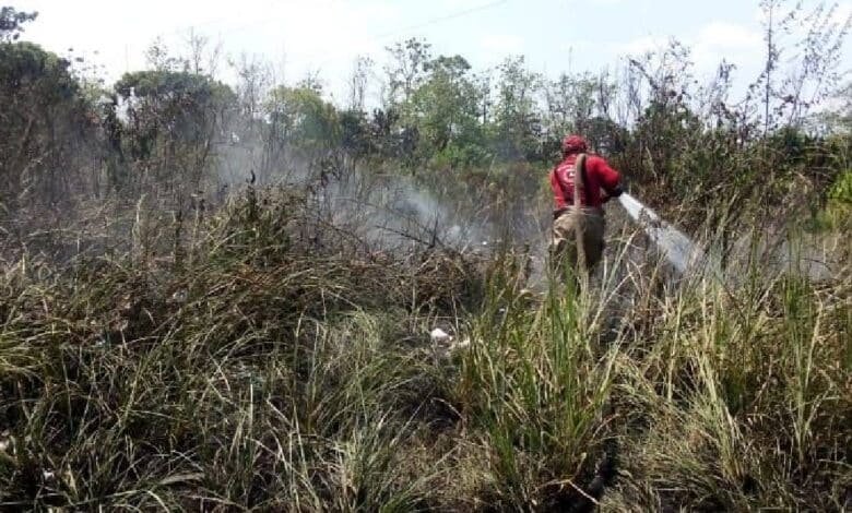 Las autoridades instan a la población a mantener precauciones y a reportar cualquier conato de incendio a los servicios de emergencia.