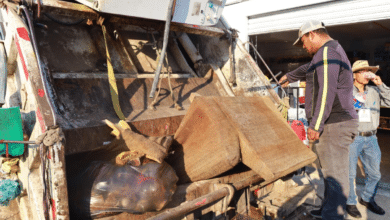 Avanza programa de descacharrización