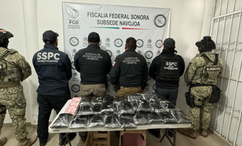 Detienen en Sonora a hombre con 32 kg de fentanilo ocultos en cargamento de nopales