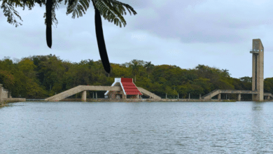 Frente frío no. 33 provocaría condiciones adversas en el Estado