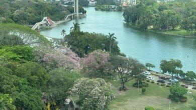 Martes de temperaturas cálidas y déficit de lluvias