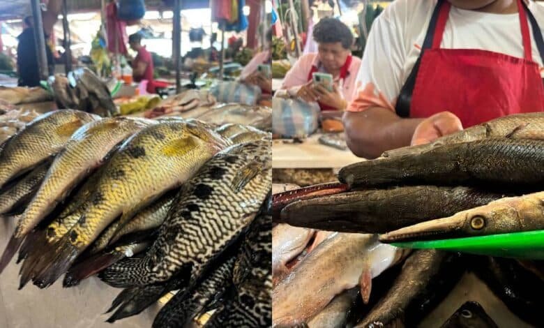 Nadan pescados y mariscos en ventas bajas