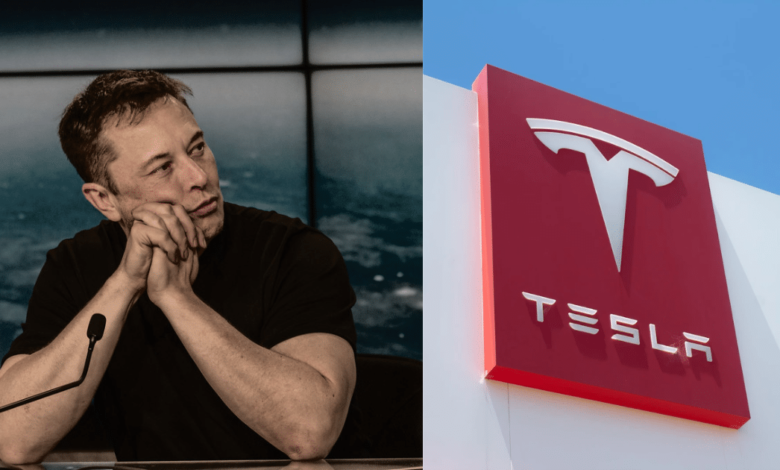 Imagen editada de Elon Musk con Tesla