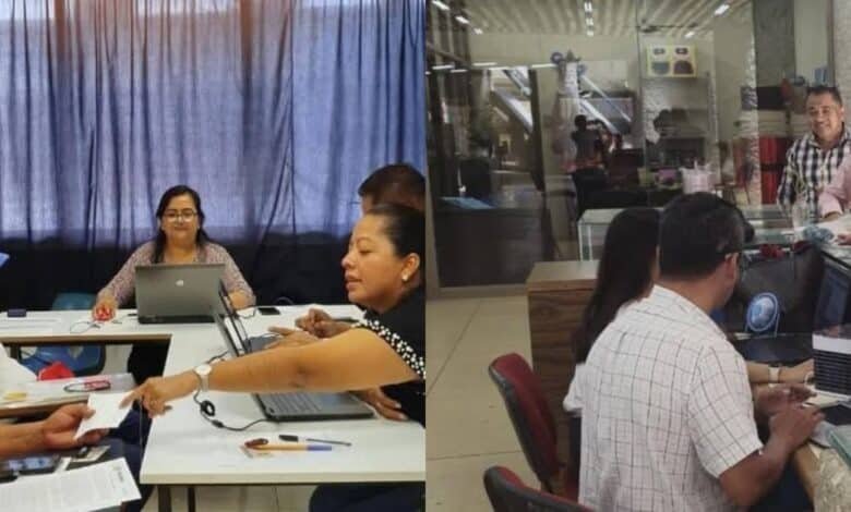 Esta fase inicial permitirá a los declarantes familiarizarse con el sistema, organizar sus datos y agilizar el proceso de carga definitiva