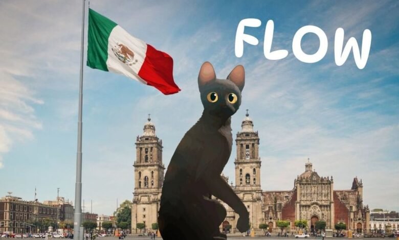  Película "Flow" llega este miércoles al Zócalo de la CDMX