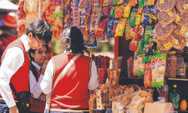 Presenta ONG plataforma para monitorear alimentos en escuelas