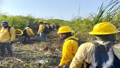 Alerta sobre altas temperaturas y riesgo de incendios en Tabasco