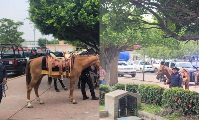 Binomios equinos fortalecen la paz en Chiapas durante jornada de proximidad social