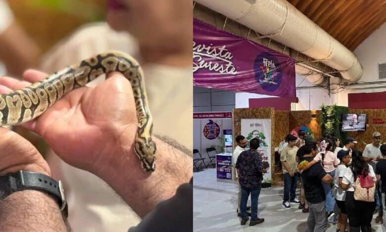Controlan incendio de arbustos cerca de Celestún; sin riesgo para la población