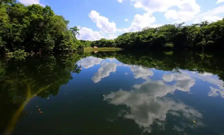 Imagen panorámica de un río caudaloso rodeado de selva tropical en la Ruta de los Ríos Mayas, Tabasco.