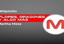 Flores, dragones y algo más…