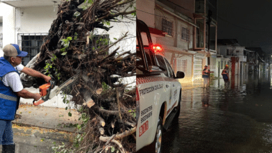 Lluvias del Frente Frío No. 42 dejan afectaciones menores en Tabasco