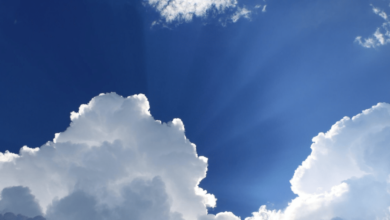 Lluvias intensas, torbellinos y temperaturas extremas pronóstico climático para el 8 de mayo de 2025 (Foto por el Consejo Internacional de Ciencias)