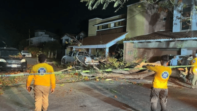 Protección Civil y Bomberos del Centro Atiende Incendio, Árbol Caído y Emergencias Médica