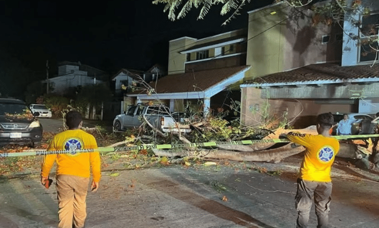 Protección Civil y Bomberos del Centro Atiende Incendio, Árbol Caído y Emergencias Médica