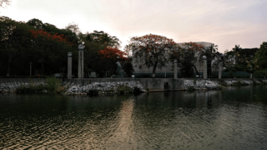 Recolectan más de 20 toneladas de residuos en lo que va del Año