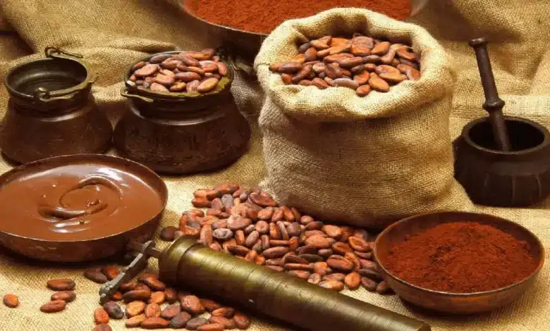Granos de cacao, barras de chocolate y productos derivados como polvo de cacao, bombones y bebidas, dispuestos sobre una mesa rústica.