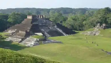 Zona arqueológica de Comalcalco con estructuras prehispánicas de ladrillo rodeadas de vegetación tropical.