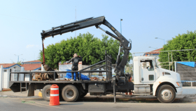 Noticias,Ahora,Medios,Redes Sociales,Tendencia,Viral,México,Estados,Principal