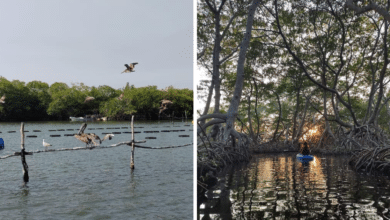 Noticias,Ahora,Medios,Redes Sociales,Tendencia,Viral,México,Estados,Principal