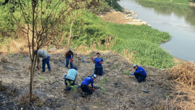 Noticias,Ahora,Medios,Redes Sociales,Tendencia,Viral,México,Estados,Principal
