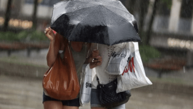 Noticias,Ahora,Medios,Redes Sociales,Tendencia,Viral,México,Estados,Principal