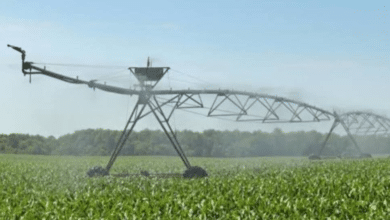 Noticias,Ahora,Medios,Redes Sociales,Tendencia,Viral,México,Estados,Principal