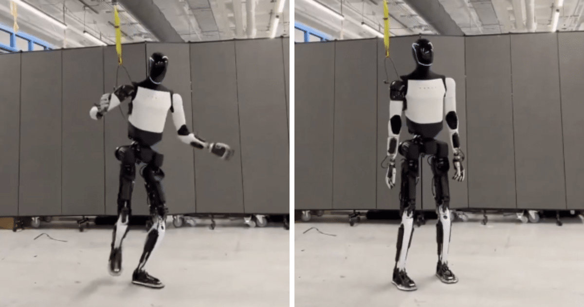 Elon Musk presume avances del Robot Optimus de Tesla