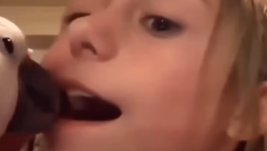¡Un loro como odontólogo! El increíble video viral de una niña pidiendo ayuda para sacar su diente