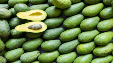 ¿Qué enfermedades puede ayudar a combatir comer aguacate_