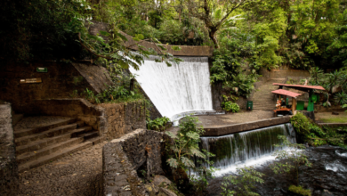 El Parque Nacional de Uruapan: un santuario natural en el corazón de Michoacán