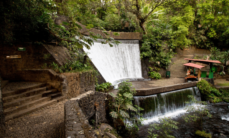 El Parque Nacional de Uruapan: un santuario natural en el corazón de Michoacán