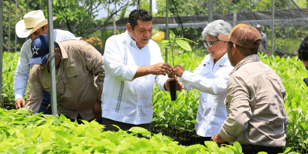 Arranca desarrollo de primer Centro Agroecológico en Tabasco
