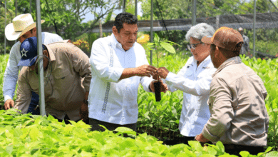Arranca desarrollo de primer Centro Agroecológico en Tabasco