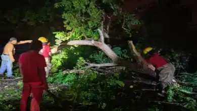 Autoridades y Ciudadanía Responden en Conjunto ante lluvias torrenciales.