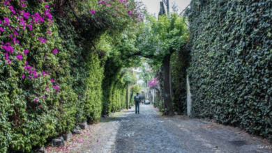 Calles empedradas de México: historia viva que conecta pasado y presente