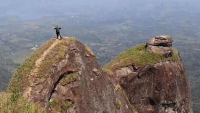 Cerro La Pava la cima de Tabasco donde puedes caminar entre las nubes
