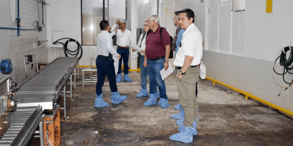 Inversión millonaria para combatir al gusano barrenador