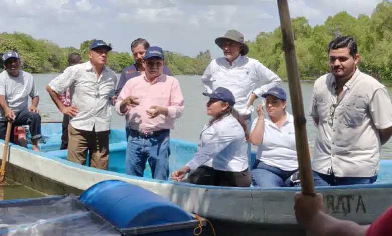 “Pescando Vida”, el programa de apoyo a la acuacultura más grande del país: Conapesca