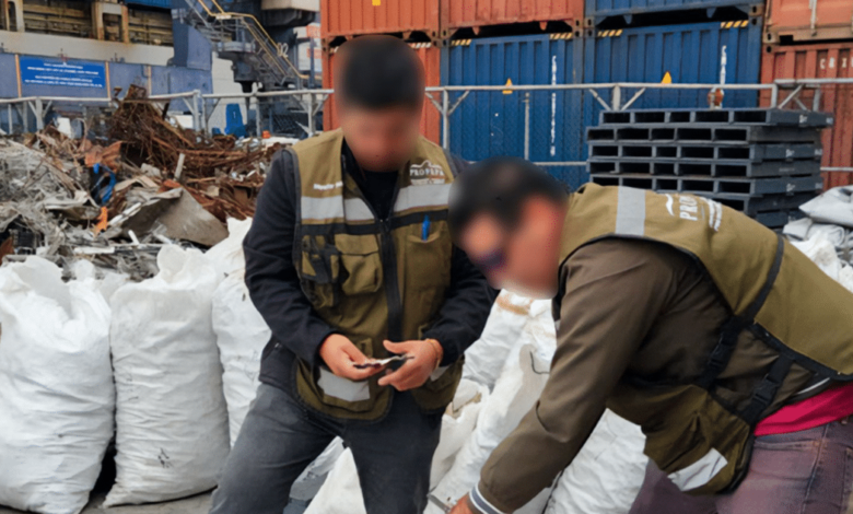 Profepa asegura 2,433 kilos de aletas de tiburón que pretendían llevar a Shanghai