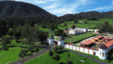 Rancho La Mesa Naturaleza, pulque y descanso a solo dos horas de CDMX