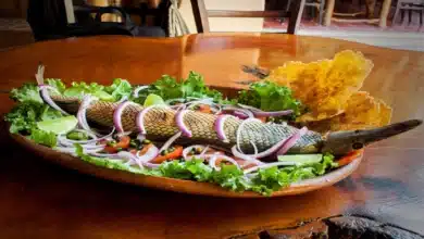 Sabores con historia_ la riqueza gastronómica de Tabasco, legado de civilizaciones ancestrales (6)