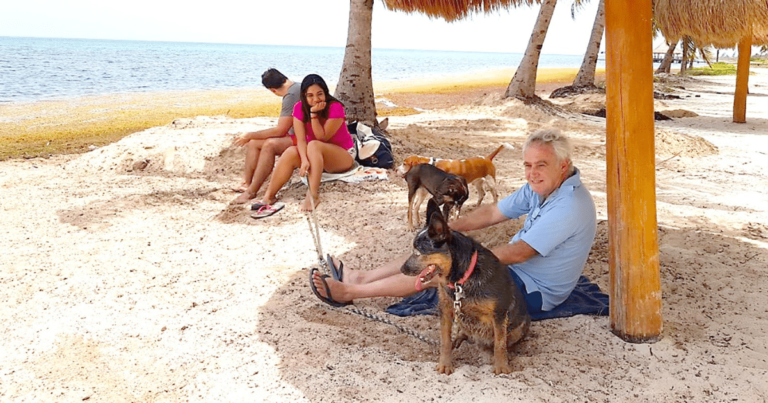 Sol, arena, mar y mascotas Q. Roo “Pet Friendly”