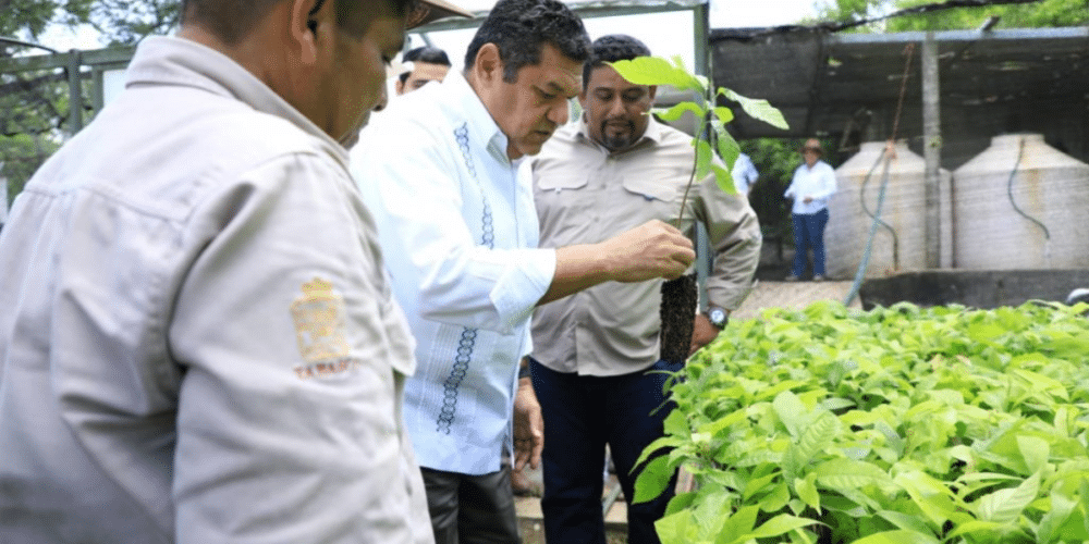 Tabasco fortalece su legado ambiental y cultural con nuevas áreas protegidas y proyectos arqueológicos