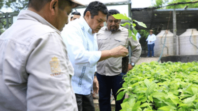 Tabasco fortalece su legado ambiental y cultural con nuevas áreas protegidas y proyectos arqueológicos