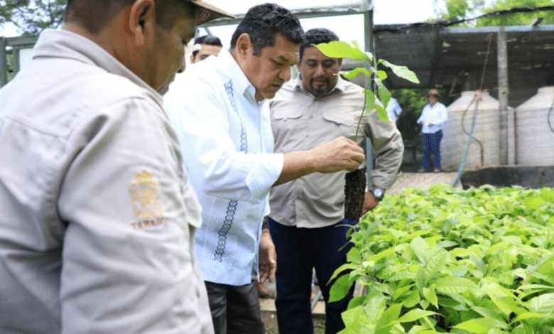 Tabasco fortalece su legado ambiental y cultural con nuevas áreas protegidas y proyectos arqueológicos