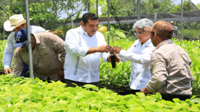 Tabasco impulsa su campo con primer Centro Agroecológico de Saberes